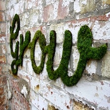 Jak MRUFKA pośród zieleni